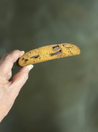 Hand holding a long cookie with bits of chocolate against a blurred background
